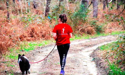 Clicker, caminar atrás