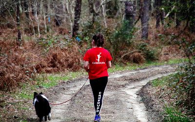 Paseos sin tirones de correa. Disfruta de caminar con tu mejor amig@.