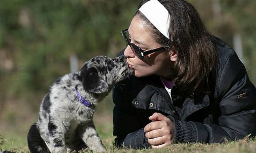 Cliker primer moldeado