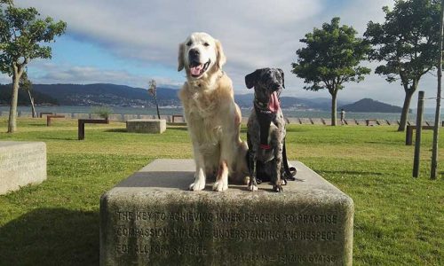 Sentado, tumbado, de pie