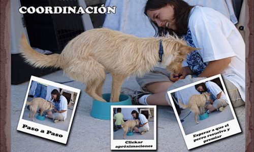 Fundamentos del clicker.                                    Cargado