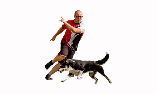 Agility, comandos direccionales